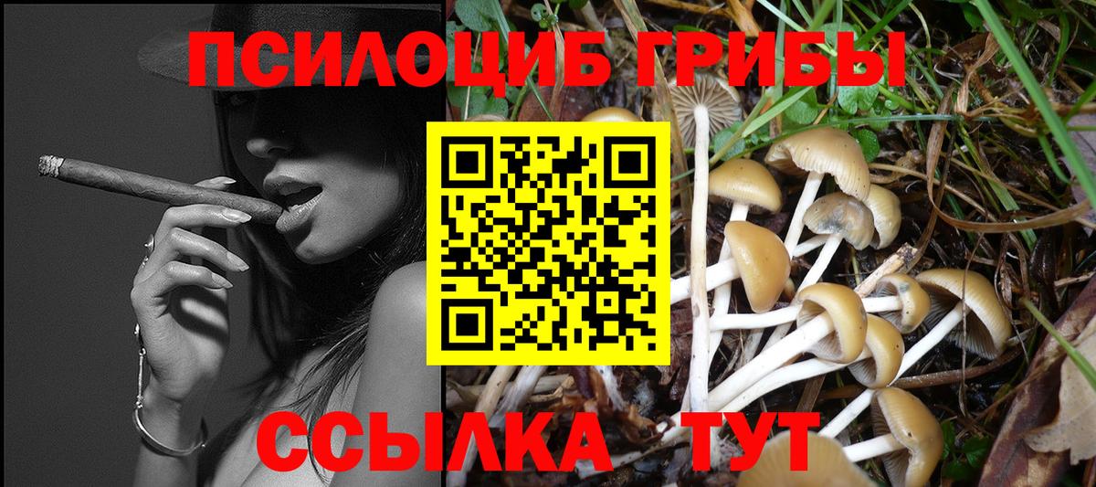 Галлюциногенные грибы Magic Shrooms  Галлюциногенные грибы мухоморы  Вход с VPN  Трёхгорный 